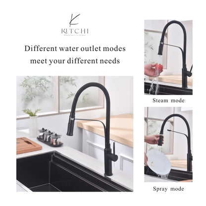 Single Handle PULL-OUT Kitchen Faucet