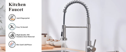 Single Handle PULL-OUT Kitchen Faucet